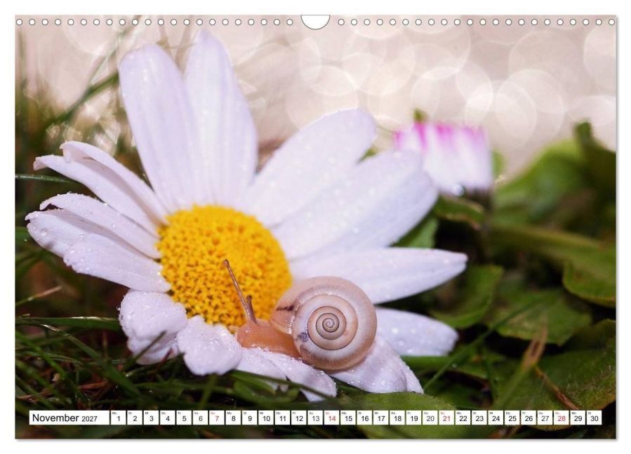 InsideView 3