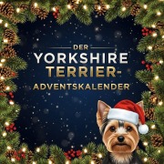 Cover-Bild zum Titel 'Der Yorkshire Terrier-Adventskalender' von 'Clara Bauer'