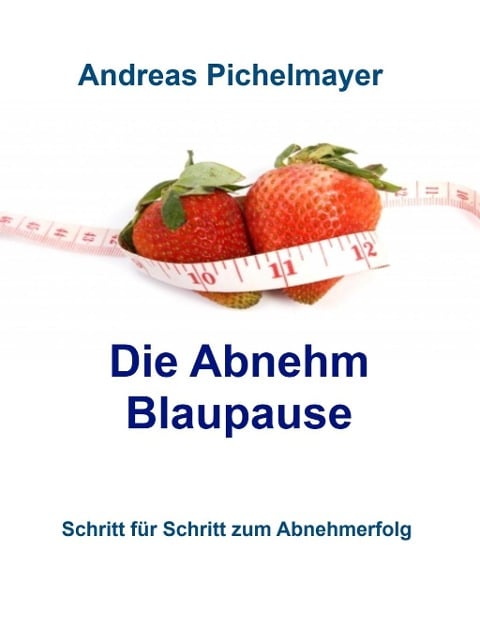 Die Abnehm Blaupause - Andreas Pichelmayer