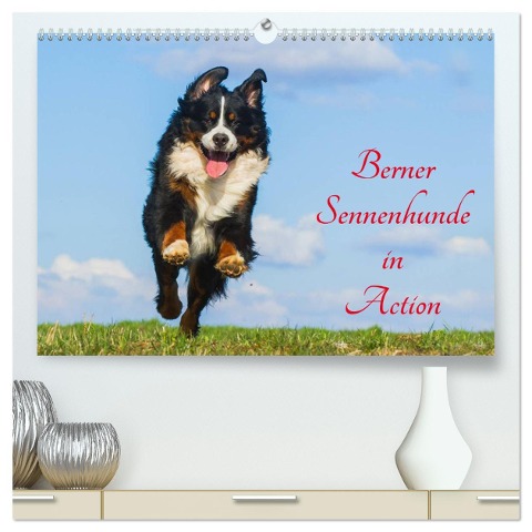 Berner Sennenhunde in Action (hochwertiger Premium Wandkalender 2024 DIN A2 quer), Kunstdruck in Hochglanz - Sigrid Starick