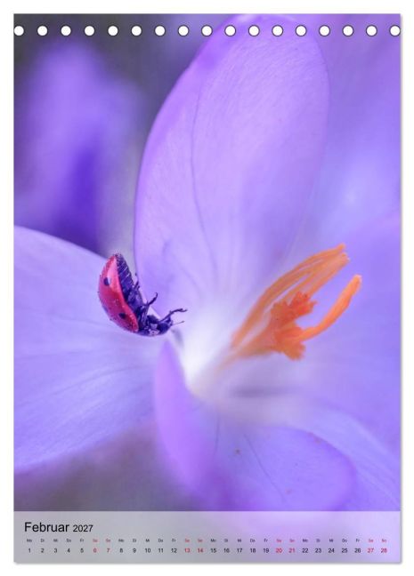 InsideView 7