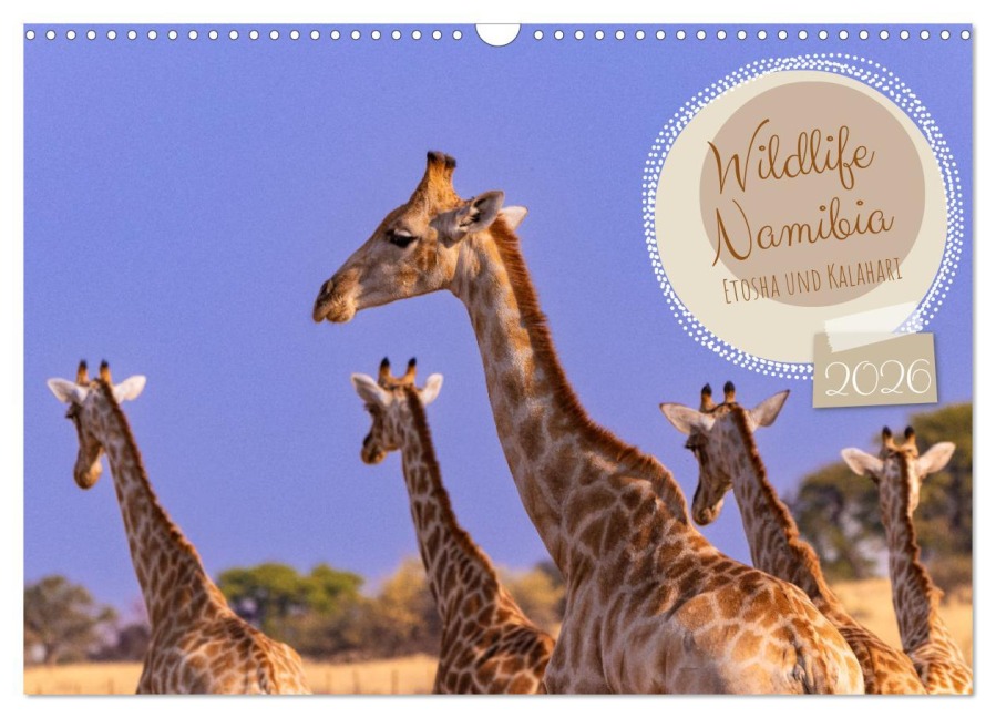 Wildlife Namibia - Etosha und Kalahari (Wandkalender 2026 DIN A3 quer), CALVENDO Monatskalender - Dorothea Früh