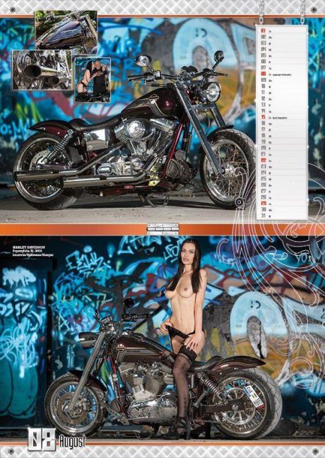 InsideView 8