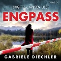 Cover-Bild zum Titel 'Engpass' von 'Gabriele Diechler'
