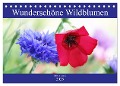 Wunderschöne Wildblumen (Tischkalender 2025 DIN A5 quer), CALVENDO Monatskalender - Gisela Kruse