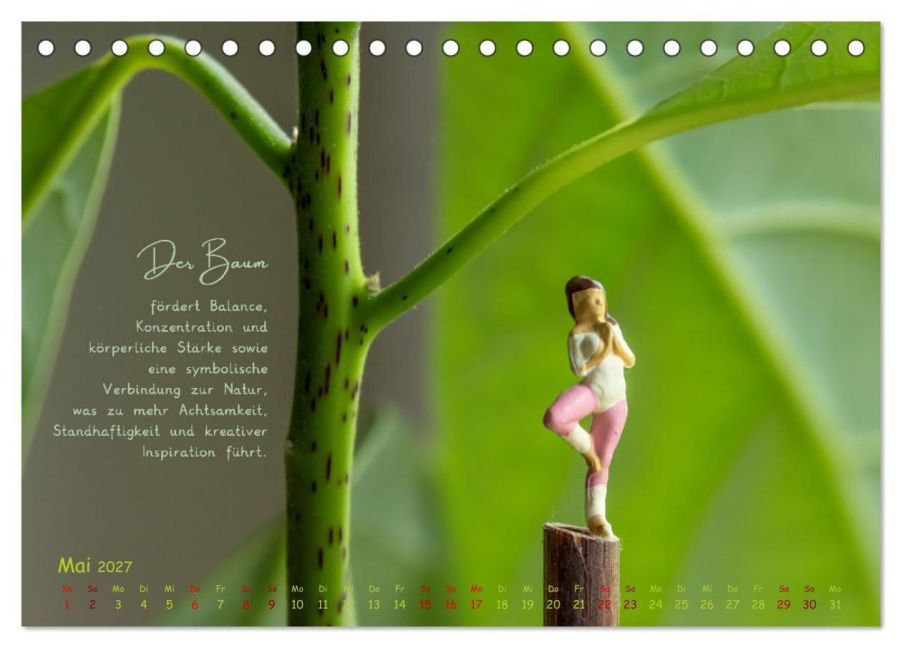 InsideView 10