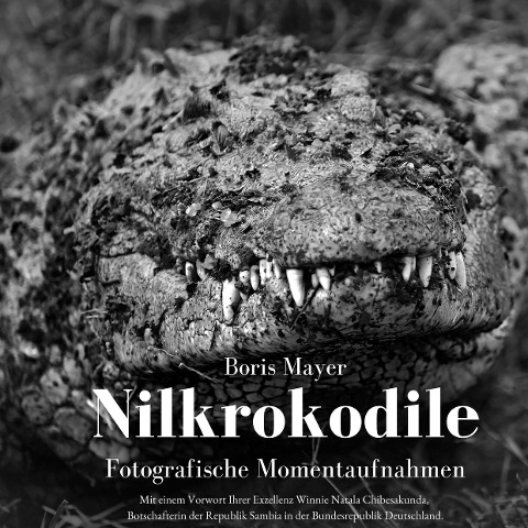 Nilkrokodile - Boris Mayer