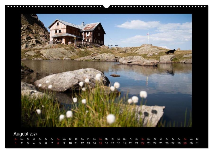 InsideView 12