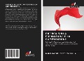Cover-Bild zum Titel 'RICERCA SULLA FORMAZIONE E LA COMPOSIZIONE' von 'Maria Rachel de Souza Chula'