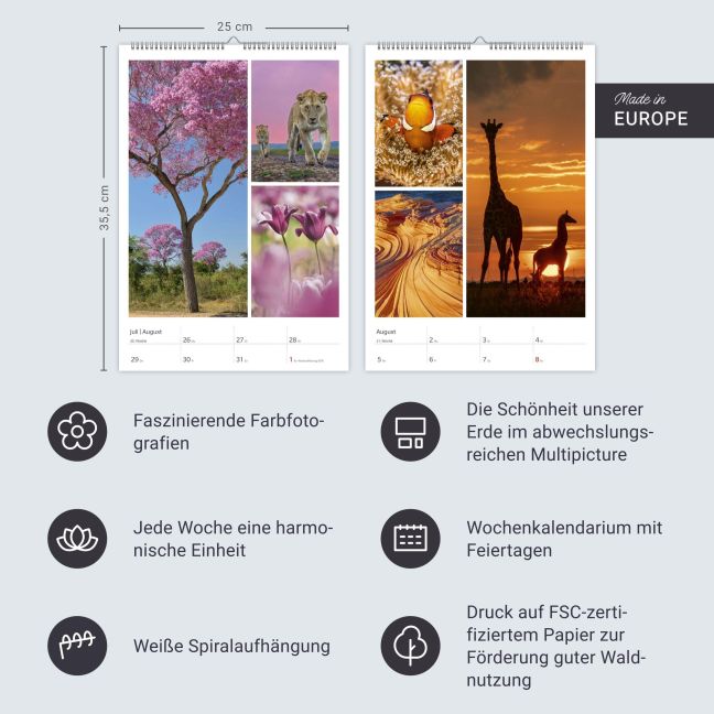 InsideView 13