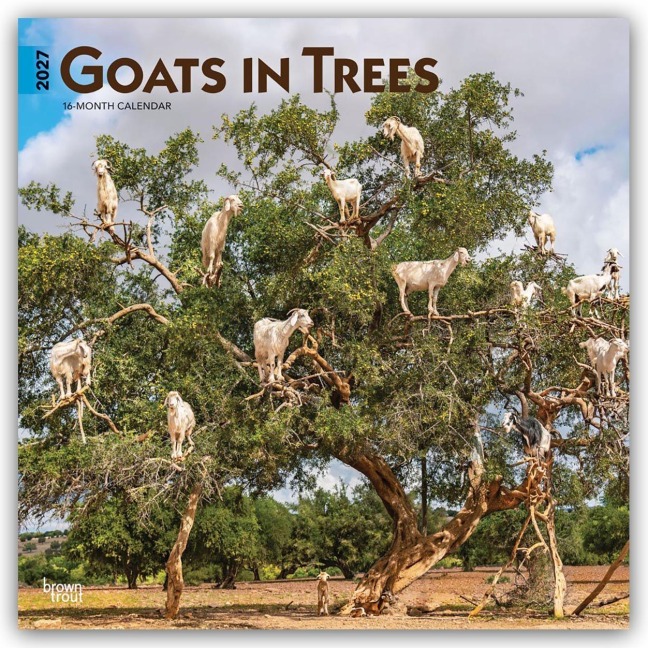 Goats in Trees - Ziegen in Bäumen 2027 - 16-Monatskalender - Browntrout Publishers
