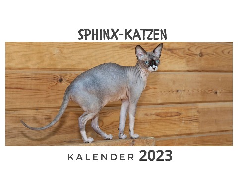 Sphinx-Katzen - Tim Fröhlich