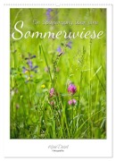 Cover-Bild zum Titel 'Ein Spaziergang über eine Sommerwiese (Wandkalender 2026 DIN A2 hoch), CALVENDO Monatskalender' von 'Karin Dietzel'