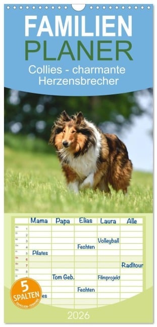 Familienplaner 2026 - Collies - charmante Herzensbrecher mit 5 Spalten (Wandkalender, 21 x 45 cm) CALVENDO - Yvonne Janetzek