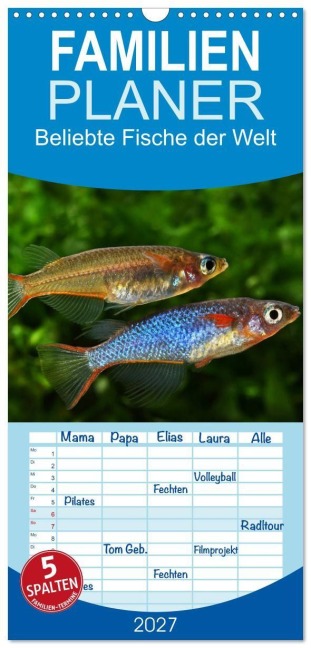 Familienplaner 2027 - Beliebte Fische der Welt mit 5 Spalten (Wandkalender, 21 x 45 cm) CALVENDO - Rudolf Pohlmann