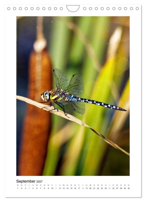 InsideView 14