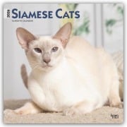 Siamese Cats - Siamesische Katzen - Siamkatzen 2026 - 16-Monatskalender - Browntrout Publishers