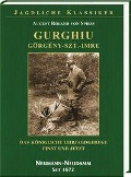 Gurghiu - Görgény-Szt.-Imre. - August Roland von Spieß