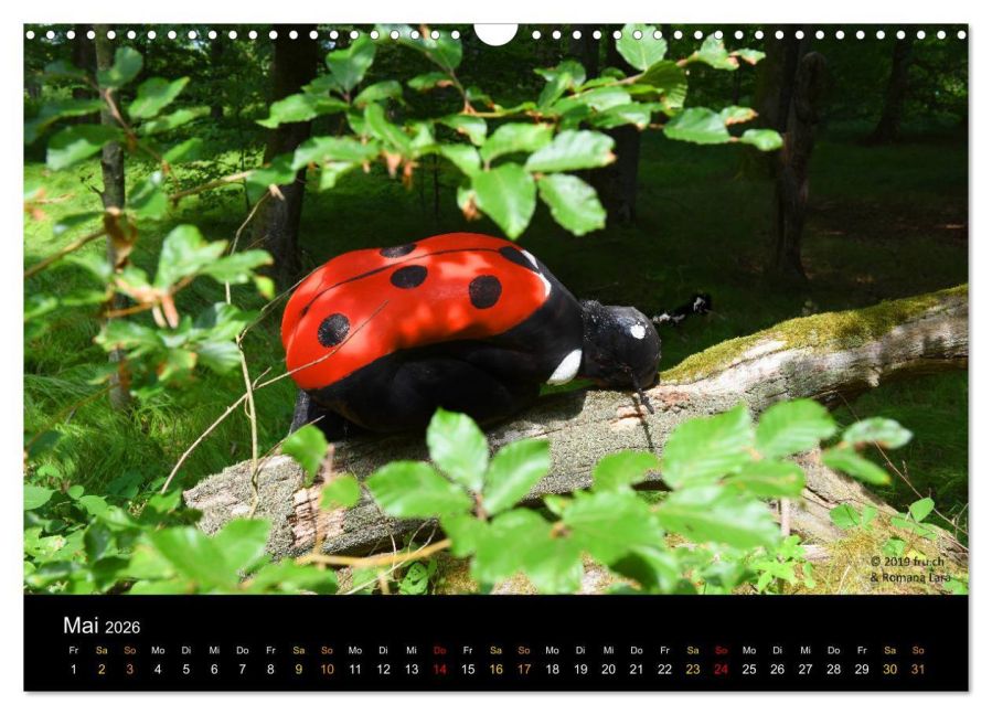 InsideView 10