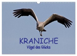 Kraniche - Vögel des Glücks (Wandkalender 2026 DIN A3 quer), CALVENDO Monatskalender - Ralf Weise