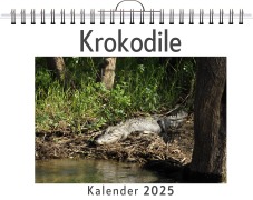 Cover-Bild zum Titel 'Krokodile' von 'Noah Fischer'