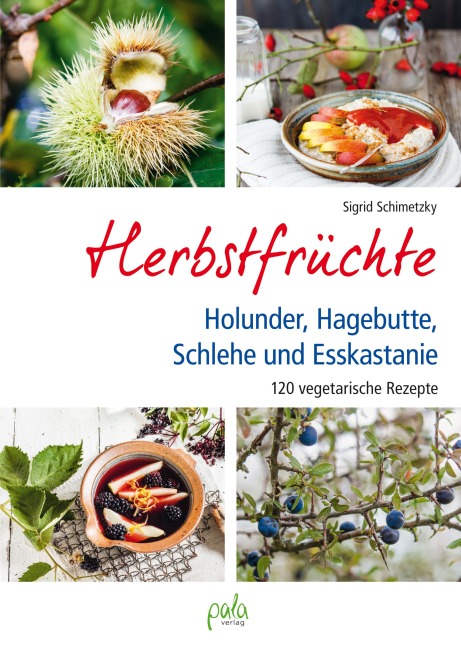 Herbstfrüchte - Sigrid Schimetzky