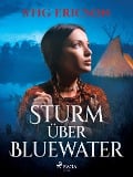 Cover-Bild zum Titel 'Sturm über Bluewater' von 'Stig Ericson'