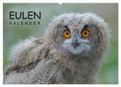Cover-Bild zum Titel 'Eulen-Kalender (Wandkalender 2026 DIN A2 quer), CALVENDO Monatskalender' von 'Gerald Wolf'