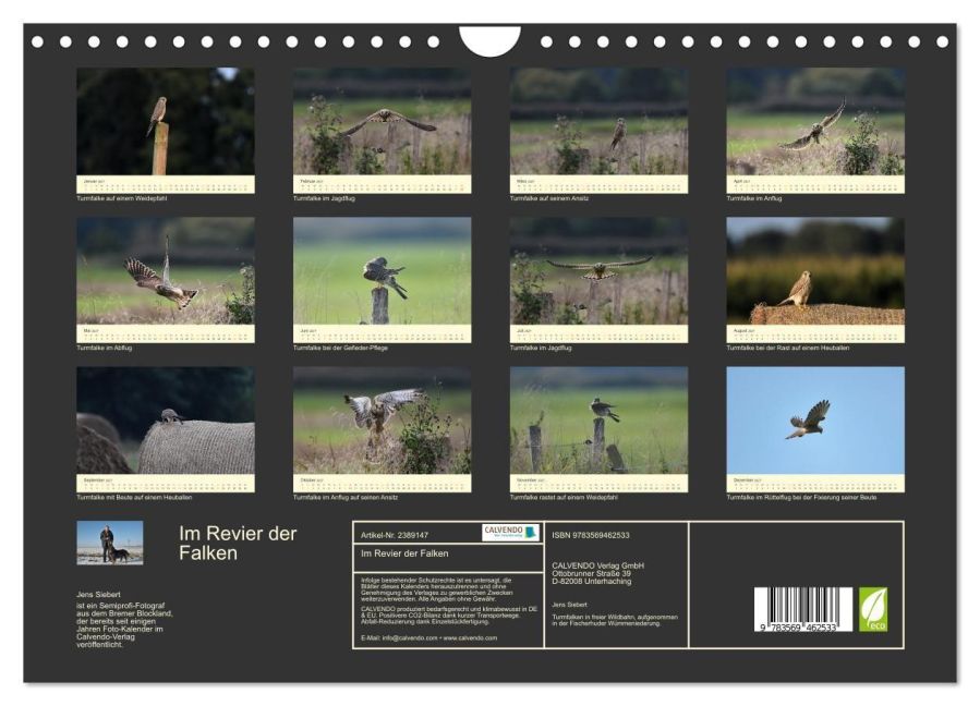 InsideView 5