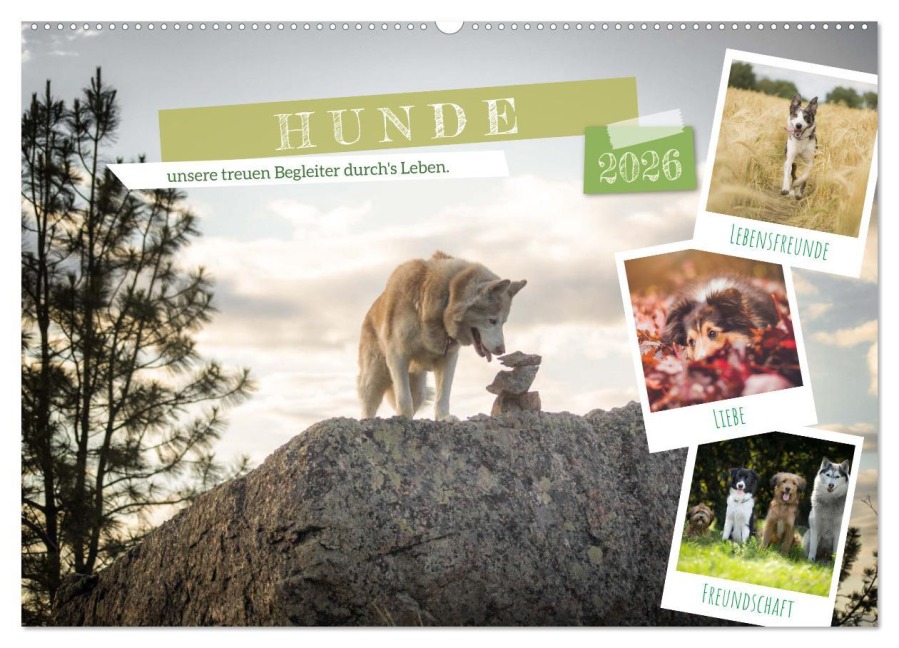 Hunde, unsere treuen Begleiter durch's Leben. (Wandkalender 2026 DIN A2 quer), CALVENDO Monatskalender - VogtArt VogtArt