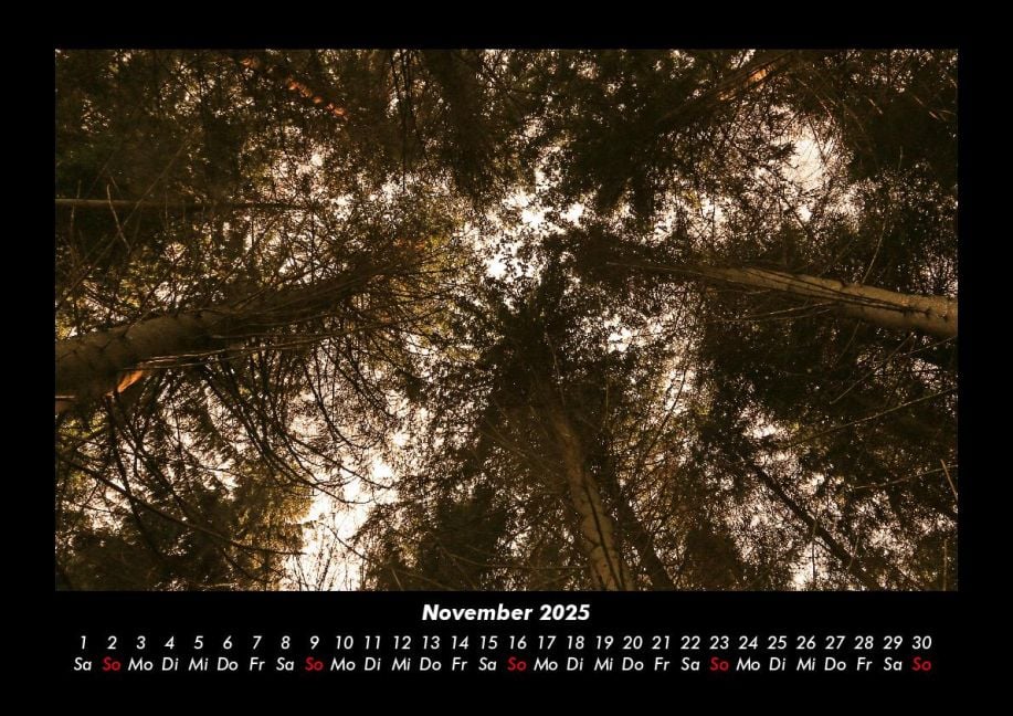 InsideView 3