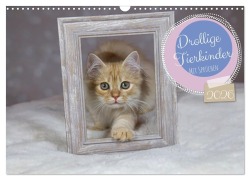 Drollige Tierkinder Mit Sprüchen (Wandkalender 2026 DIN A3 quer), CALVENDO Monatskalender - Wiebke von der Heyde