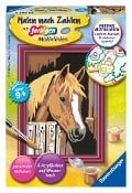 Cover-Bild zum Titel 'Ravensburger Malen nach Zahlen 29685 - Pferd im Stall - Kinder ab 9 Jahren' von ''