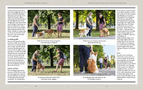 InsideView 4