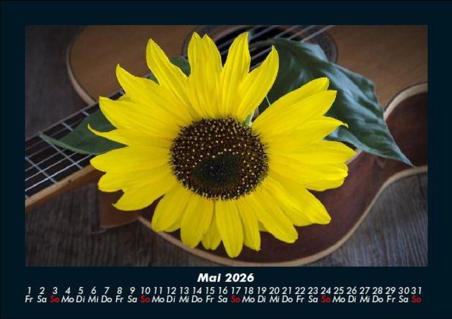 InsideView 9