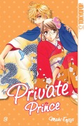 Cover-Bild zum Titel 'Private Prince - Band 3' von 'Maki Enjoji'