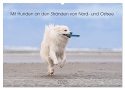 Mit Hunden an den Stränden von Nord- und Ostsee (Wandkalender 2025 DIN A2 quer), CALVENDO Monatskalender - Monika Scheurer