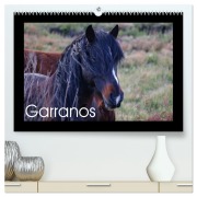 Cover-Bild zum Titel 'Garranos - Bedrohte Wildpferde Europas (hochwertiger Premium Wandkalender 2026 DIN A2 quer), Kunstdruck in Hochglanz' von 'Sabine Bengtsson/Www. Perlenfaenger. Com'