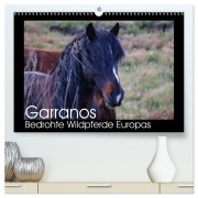 Cover-Bild zum Titel 'Garranos - Bedrohte Wildpferde Europas (hochwertiger Premium Wandkalender 2026 DIN A2 quer), Kunstdruck in Hochglanz' von 'Sabine Bengtsson/Www. Perlenfaenger. Com'