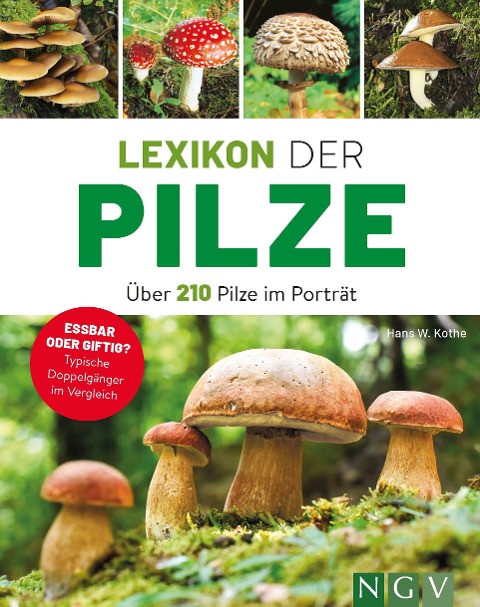Lexikon der Pilze - Über 210 Pilze im Porträt - Hans W. Kothe