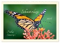 Wunderwelt der Schmetterlinge 2024 Prächtige Sommervögel (Wandkalender 2024 DIN A2 quer), CALVENDO Monatskalender - Lebensfreude Innere Stärke