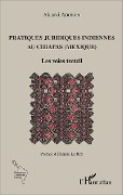 Pratiques juridiques indiennes au Chiapas (Mexique) - Adonon Akuavi Adonon