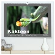 Kakteen - überraschende Gewächse (hochwertiger Premium Wandkalender 2026 DIN A2 quer), Kunstdruck in Hochglanz - Uwe Bade