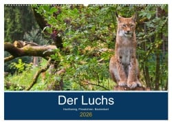 Der Luchs - Hochbeinig, Pinselohren, Backenbart (Wandkalender 2026 DIN A2 quer), CALVENDO Monatskalender - Dieter Elstner