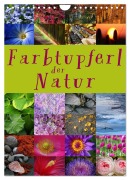 Cover-Bild zum Titel 'Farbtupferl der Natur (Wandkalender 2026 DIN A4 hoch), CALVENDO Monatskalender' von 'Martina Cross'