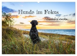 Cover-Bild zum Titel 'Hunde im Fokus (Wandkalender 2026 DIN A2 quer), CALVENDO Monatskalender' von 'Bc Tierfotografie Bianca Clemens'