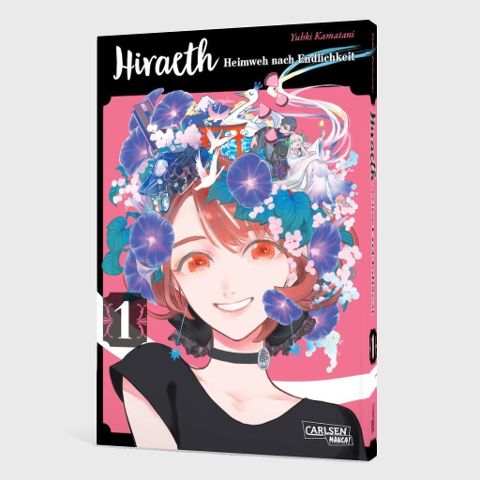 InsideView 2