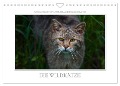 Emotionale Momente: Die Wildkatze. (Wandkalender 2024 DIN A4 quer), CALVENDO Monatskalender - Ingo Gerlach GDT