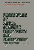 Cover-Bild zum Titel 'Principles of Metal Surface Treatment and Protection' von 'D. R. Gabe'