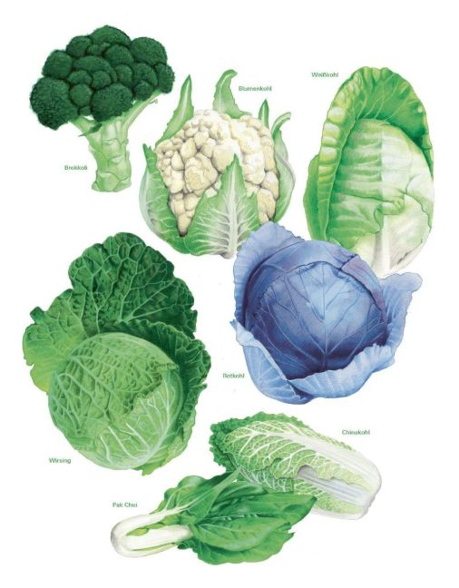 InsideView 12